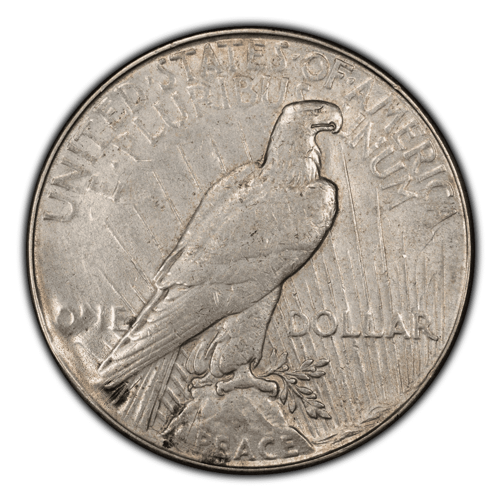 Removed Mintmark Coin